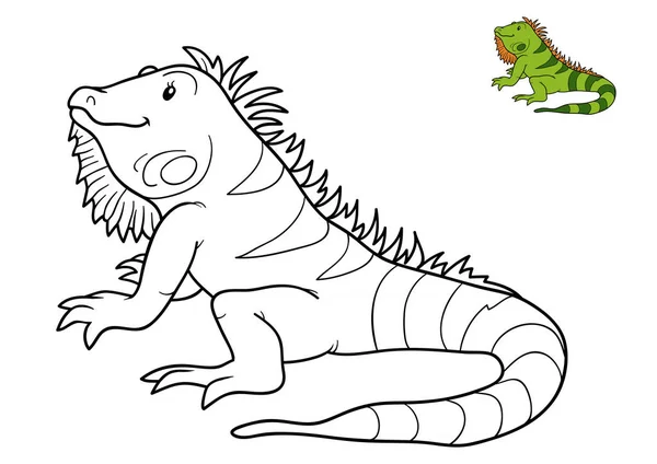 Libro para colorear, Iguana —  Fotos de Stock