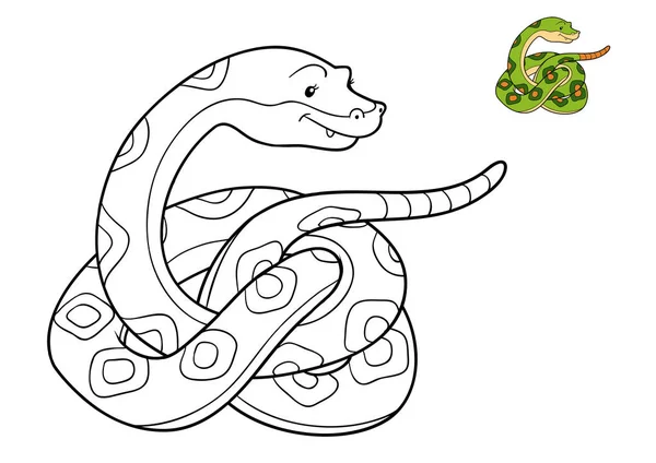 Libro para colorear, Serpiente — Foto de Stock