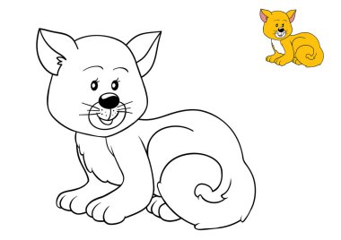 Boyama, kedi