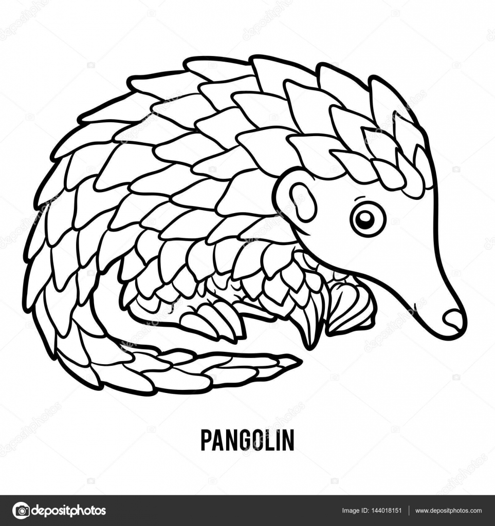 Vetores de Conjunto De Animais Dos Desenhos Animados Para Colorir Livro e  mais imagens de Pangolin - iStock