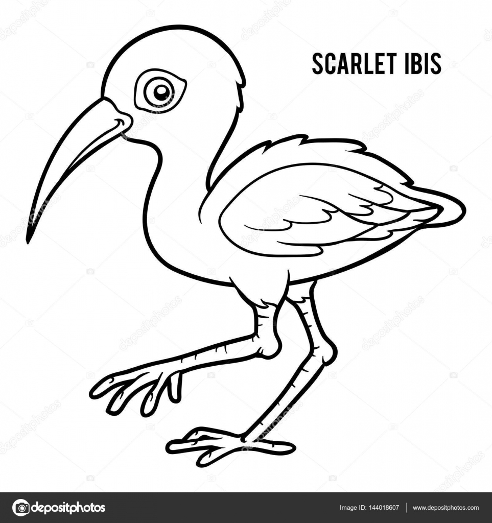 scarlet ibis vs “the scarlet ibis” literary analysis the scarlet ibis is a very well – elaborated and splendid story written by james hurst the author has describes the. scarlet ibis vs “the scarlet ibis” literary analysis the scarlet ibis is a very well – elaborated and splendid story written by james hurst the author has describes the.