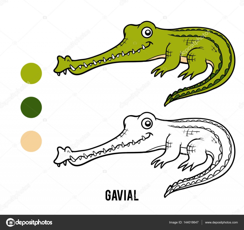 Libro da colorare per bambini coccodrillo Gaviale — Vettoriali di ksenya savva