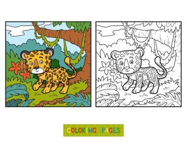 Coloring book, jaguar and background clipart