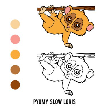 Boyama kitabı, Pigme yavaş loris