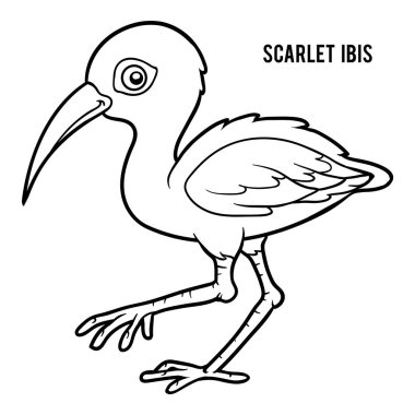Coloring book, Scarlet ibis clipart