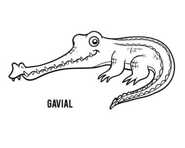 Boyama kitabı, timsah Gavial