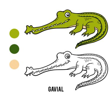 Coloring book, crocodile Gavial