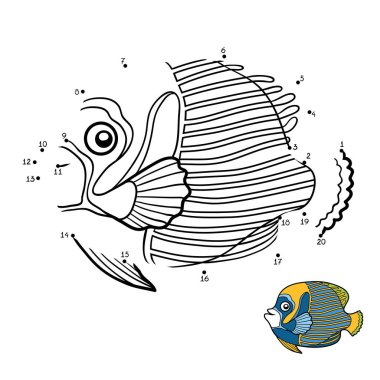 Sayı oyunu, İmparator angelfish