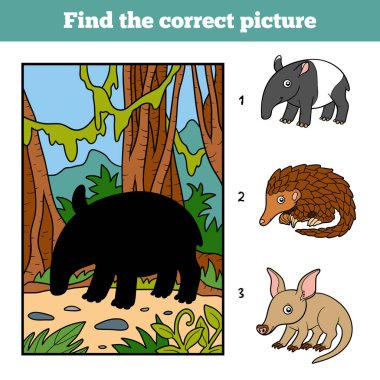 Doğru resmi bulun. Malaya tapiri ve arka plan