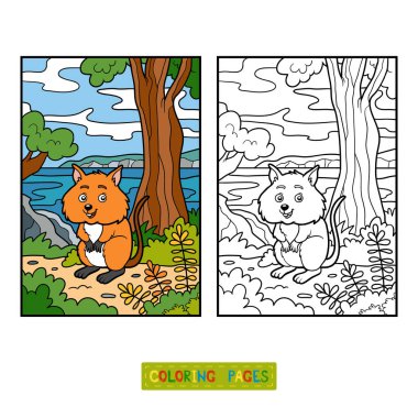 Boyama kitabı, Quokka