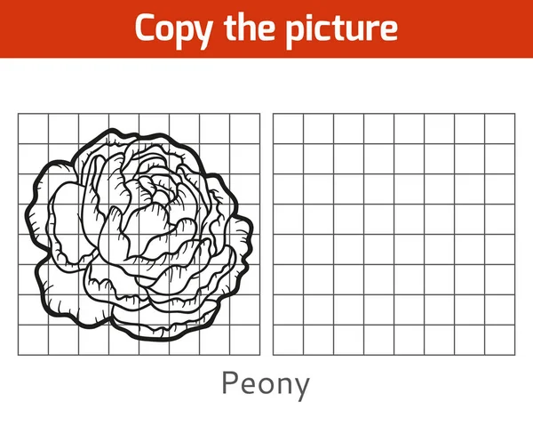 Kopieer de afbeelding, Peony — Stockvector