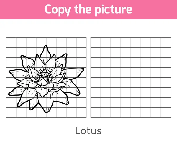 Copia la foto, Lotus. — Vector de stock