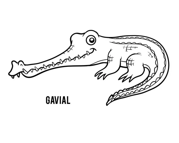 Libro para colorear, cocodrilo Gavial — Archivo Imágenes Vectoriales