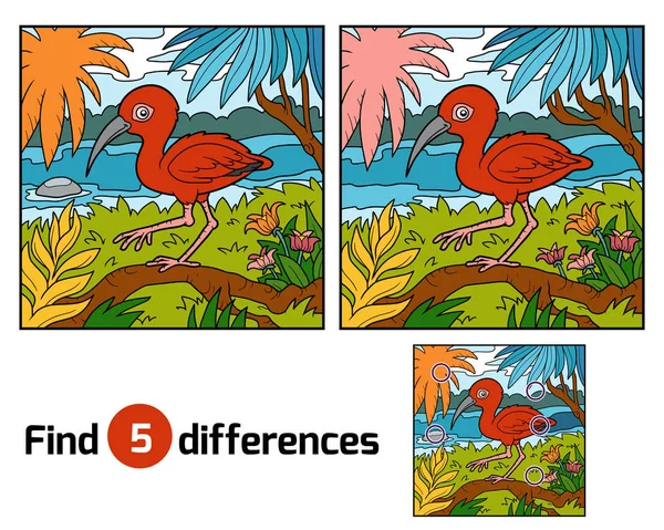 Hitta skillnader, Scarlet ibis — Stock vektor