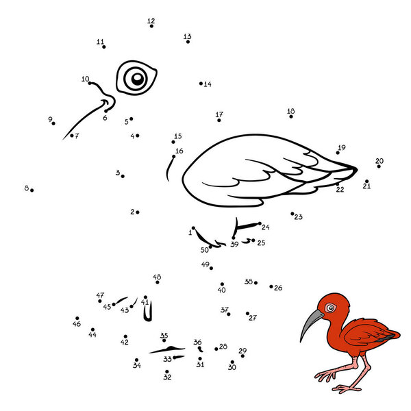 Numbers game, Scarlet ibis