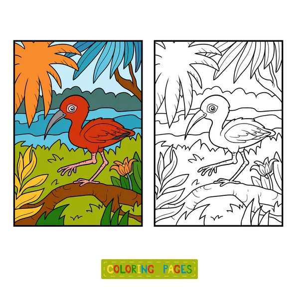 Книга-раскраска, Scarlet ibis — стоковый вектор