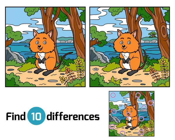 Find differences, Quokka — Stock Vector