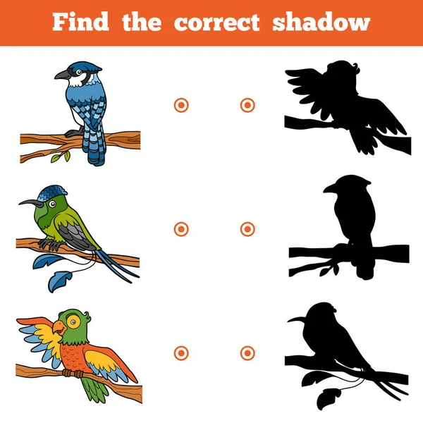Βρείτε τη σωστή σκιά, παιχνίδι για τα παιδιά. Διάνυσμα σύνολο των πτηνών — Διανυσματικό Αρχείο
