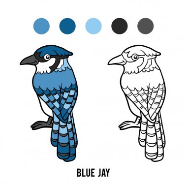 Coloring book, Blue jay clipart