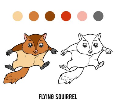 Coloring book, Flying squirrel clipart
