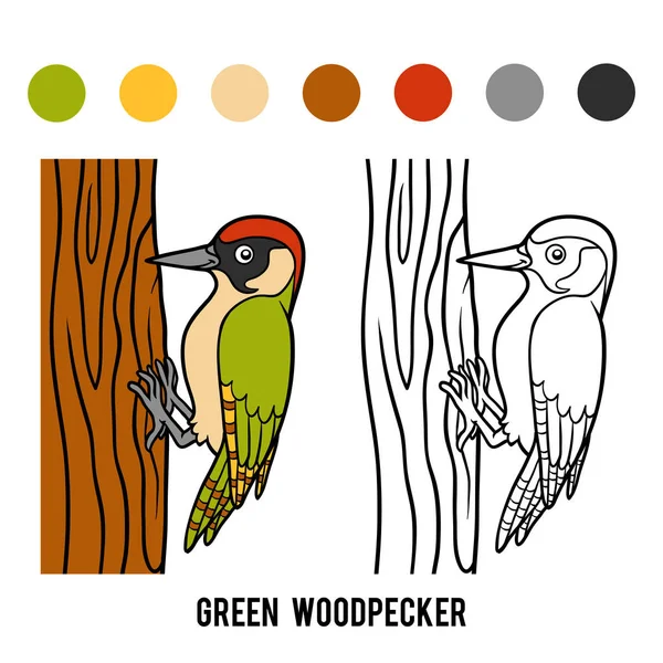 绿色啄木鸟着色书 — 图库矢量图片