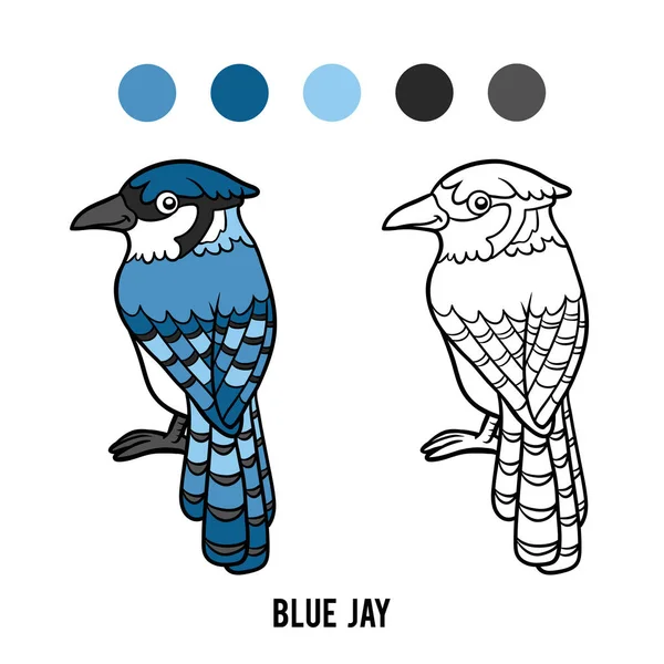 Coloring book, Blue jay — Stock Vector