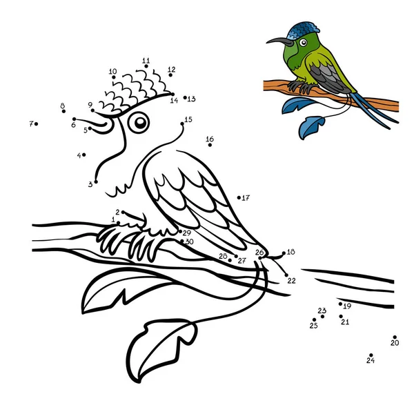 Jogo de números, Racket-cauda Hummingbird — Vetor de Stock