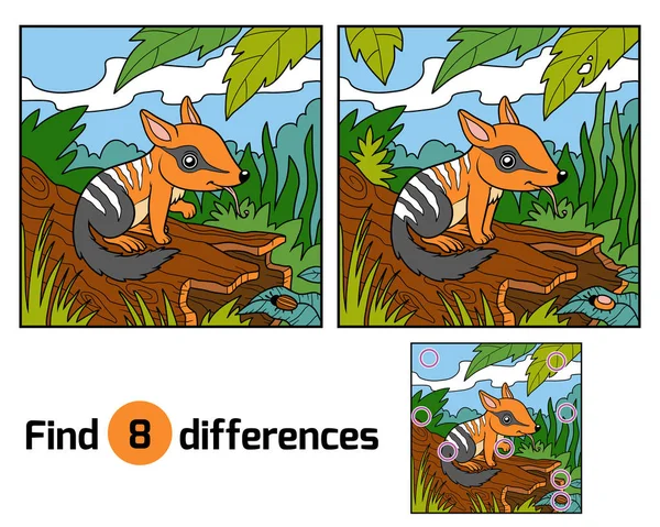 Trouver des différences, Numbat — Image vectorielle