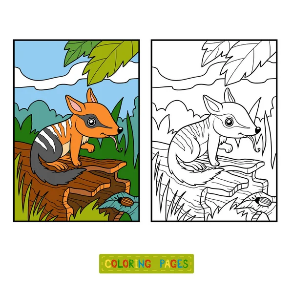 Livre à colorier pour enfants, Numbat — Image vectorielle