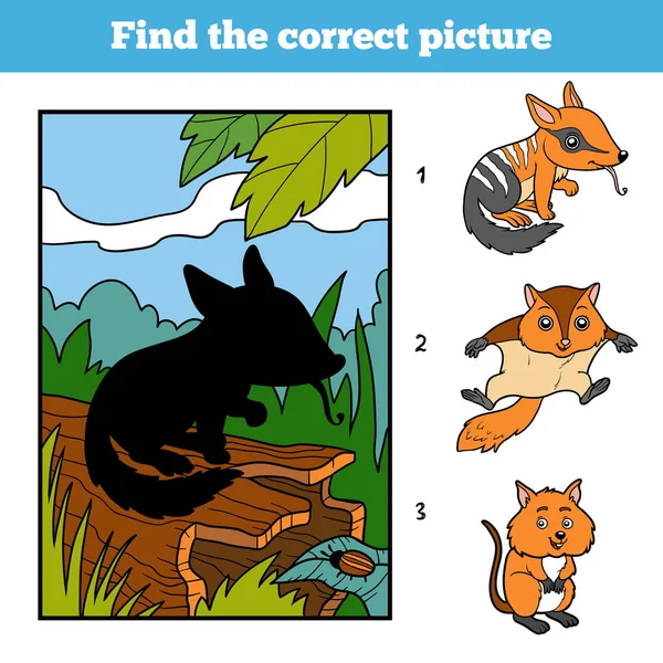 Find the correct picture, game for children. Numbat and background — Stock Vector