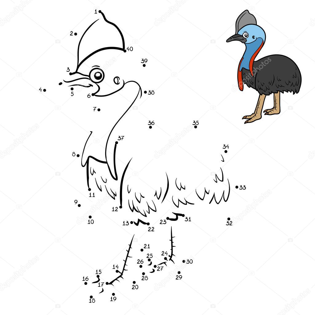 Numbers game, Southern cassowary