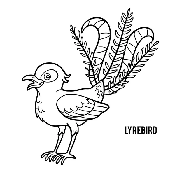 Книжка-розмальовка, Lyrebird — стоковий вектор