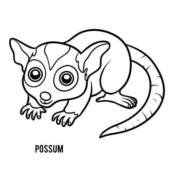 Malbuch, Possum — Stockvektor