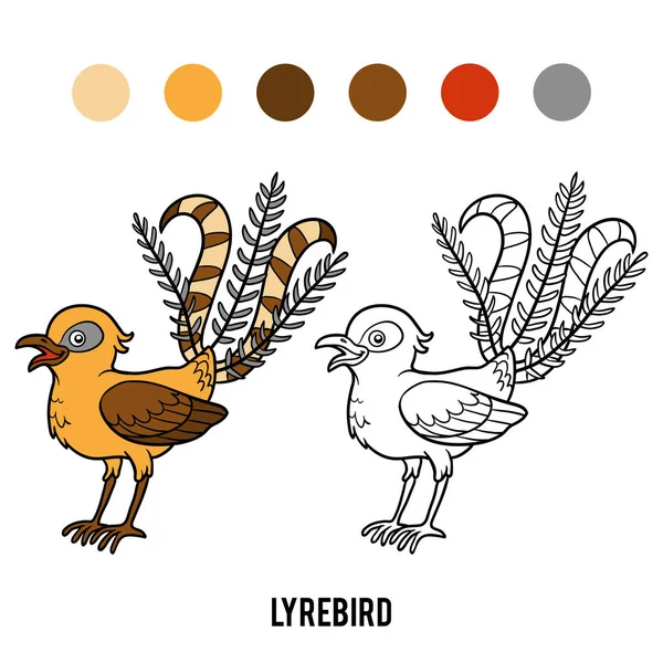 Livre à colorier, Lyrebird — Image vectorielle