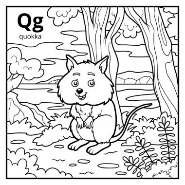 Boyama kitabı, renksiz alfabe. Harf Q, quokka