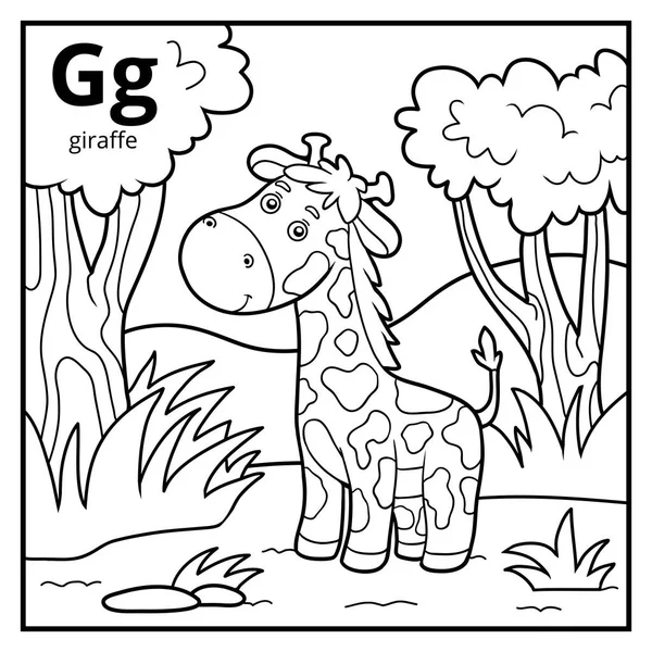 Libro da colorare, alfabeto incolore. Lettera G, giraffa — Vettoriale Stock