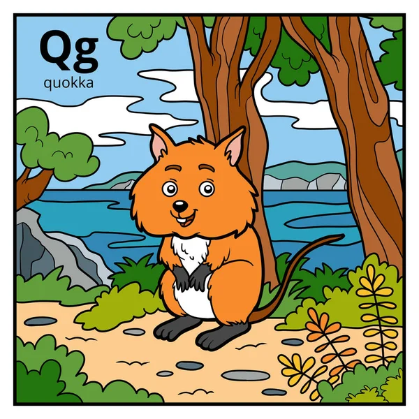 Color alphabet for children, letter Q (quokka) — Stock Vector