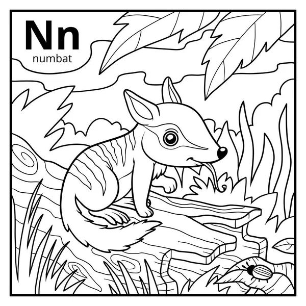 Coloring book, colorless alphabet. Letter N, numbat — Stock Vector