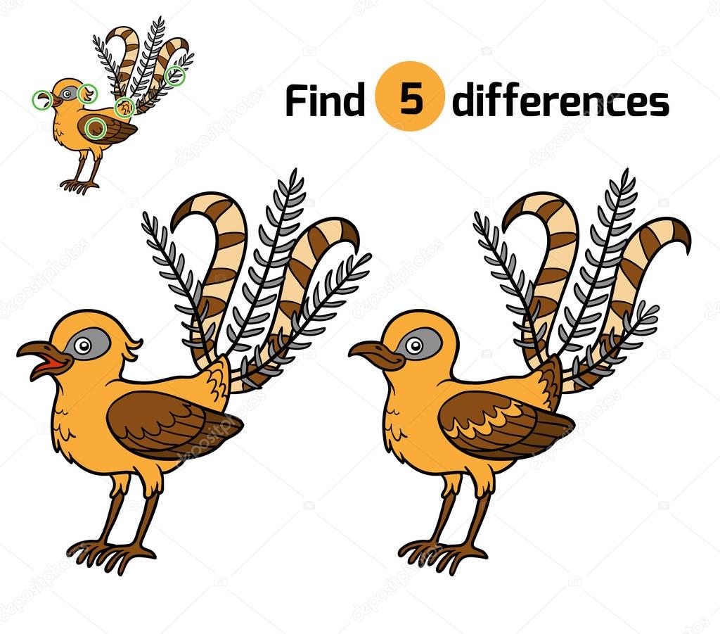 Find differences, Lyrebird