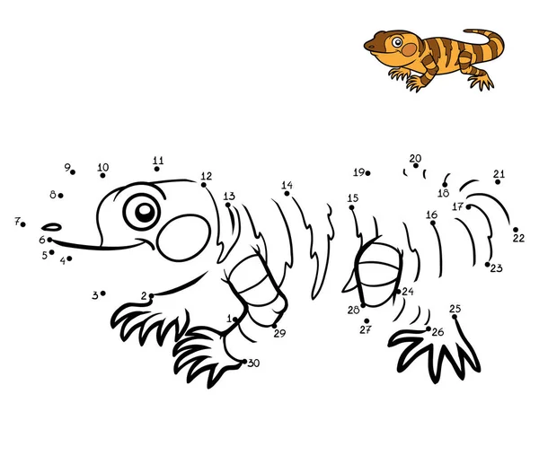 Sayı oyunu, Xenosaurus — Stok Vektör