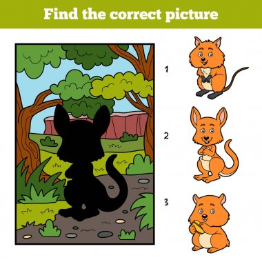 Doğru resmi bulun. Kanguru ve arka plan