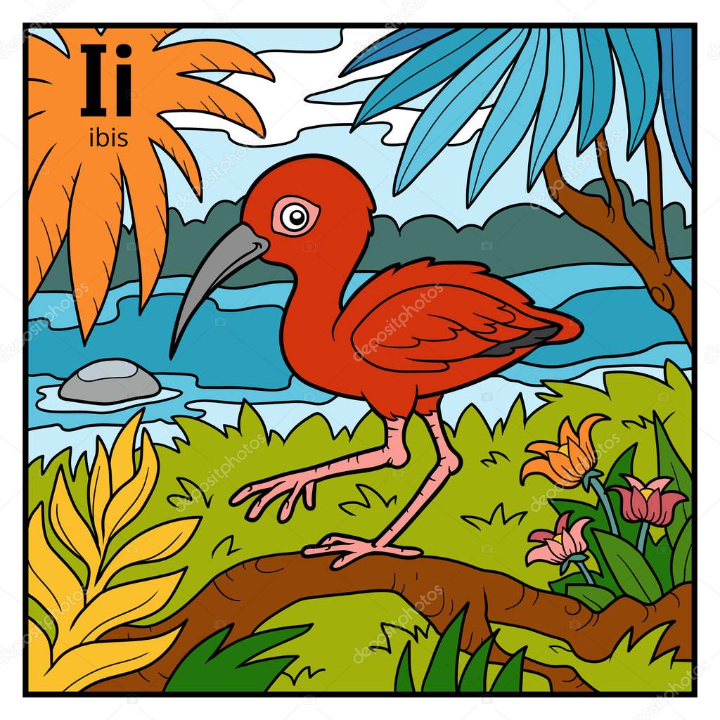 Color alphabet for children, letter I (ibis)