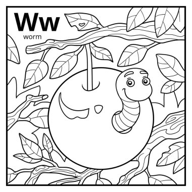 Boyama kitabı, renksiz alfabe. Harf W, solucan