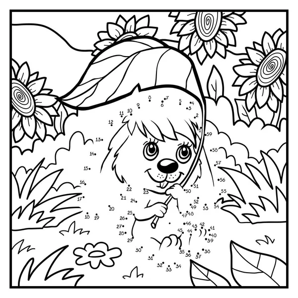 Sayı oyunu, tavşan