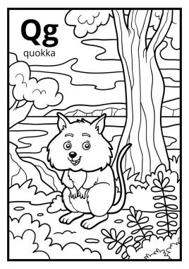 Boyama kitabı, renksiz alfabe. Harf Q, quokka