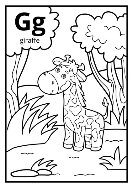 Livre à colorier, alphabet incolore. Lettre G, girafe — Image vectorielle