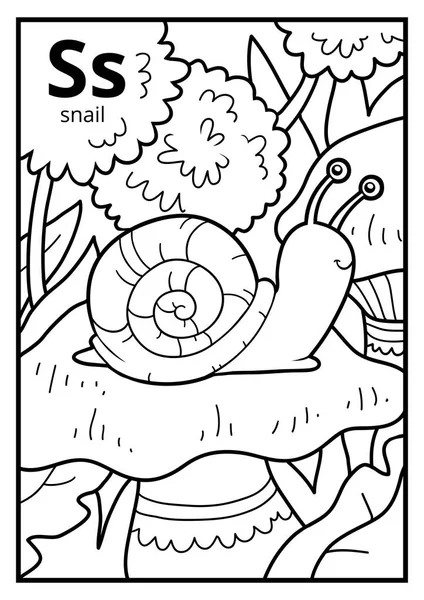 Livre à colorier, alphabet incolore. Lettre S, escargot — Image vectorielle