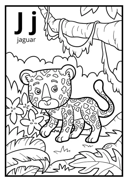 Libro para colorear, alfabeto incoloro. Letra J, jaguar — Archivo Imágenes Vectoriales