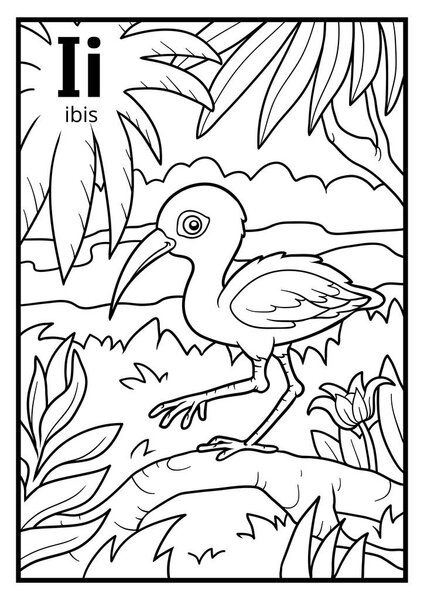 Coloring book, colorless alphabet. Letter I, ibis