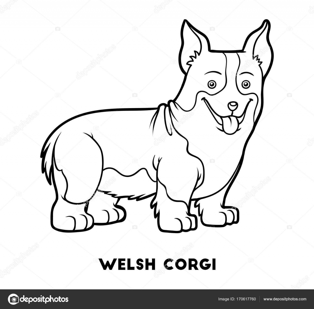 Libro da colorare per i bambini razze canine Welsh corgi — Vettoriali di ksenya savva